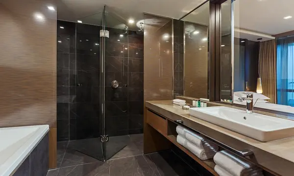 Sheraton Grand Tbilisi Metechi Palace hotel in Tbilisi 