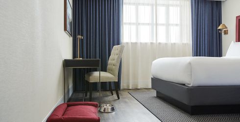 hotel room image