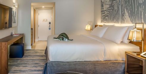 hotel room image