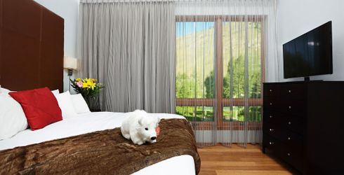 hotel room image