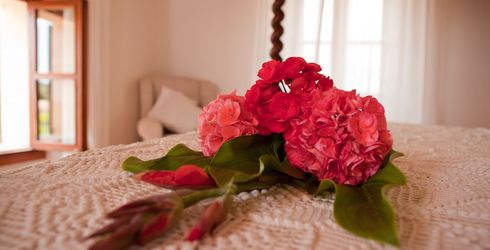 hotel room image