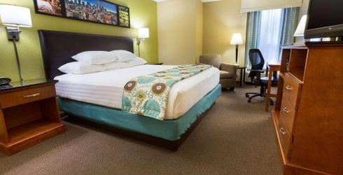 hotel room image