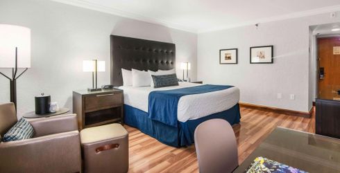hotel room image