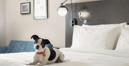hotel room image